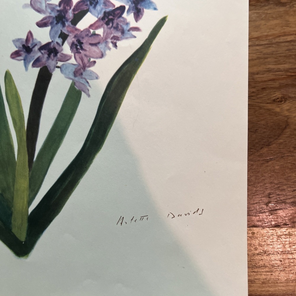 Vintage 1940s Arlette Davids Spring Flowers Garrick Dutch Hyacinth Print #14 - Picture 2 of 3